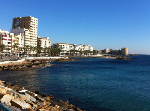 Apartamento Torrevieja - 9 personas - alquiler