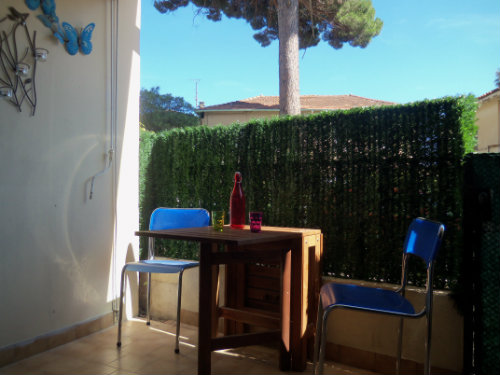 Studio in Cavalaire sur Mer - Vacation, holiday rental ad # 49841 Picture #11 thumbnail
