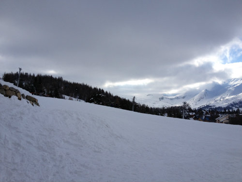  Location la joue du loup