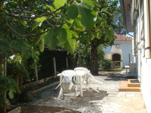 Maison à Andernos les bains - Location vacances, location saisonnière n°50144 Photo n°3
