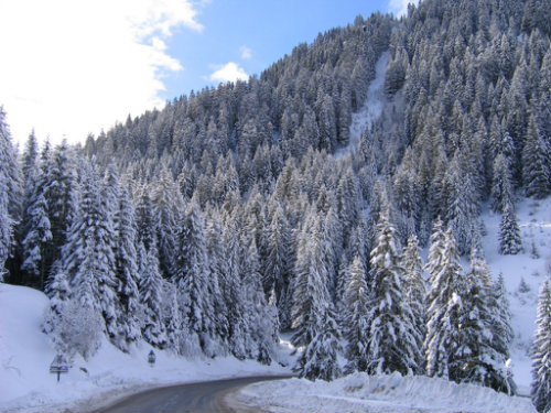 Chalet  Chatel pour  4 •   avec balcon 