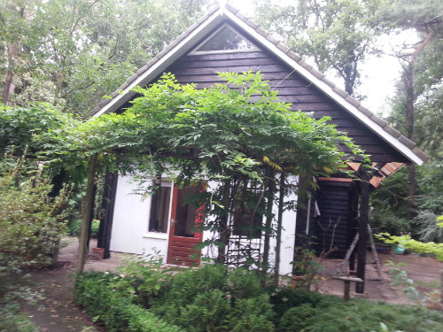 Huis 6 personen Norg - Vakantiewoning