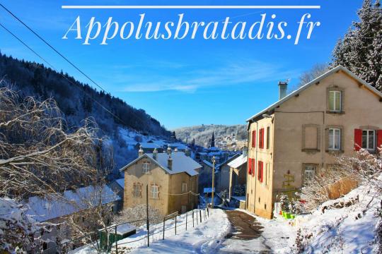 Appartement  Plombires les bains pour  4 •   4 toiles 