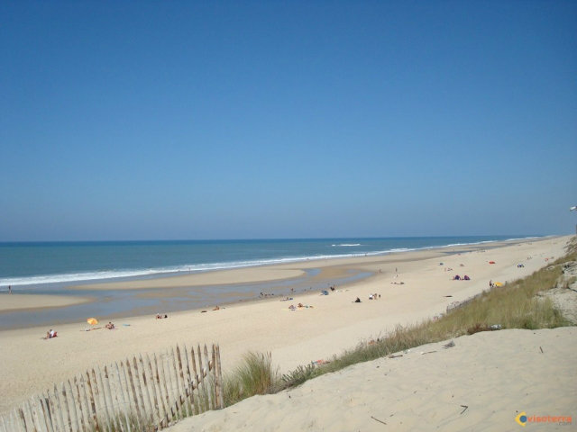 Lacanau ocean -    huisdieren toegestaan (hond, kat... ) 