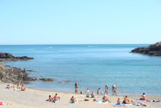 Flat in Collioure - Vacation, holiday rental ad # 51298 Picture #9