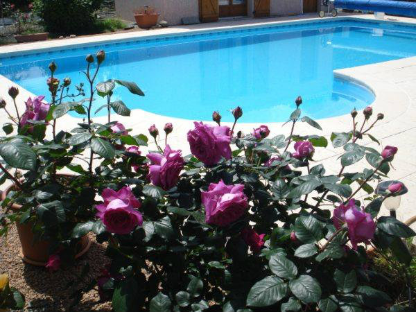 Maison à Travo pour  8 •   avec piscine privée 
