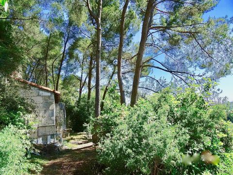 Huis in Beaucaire - Vakantie verhuur advertentie no 51477 Foto no 19
