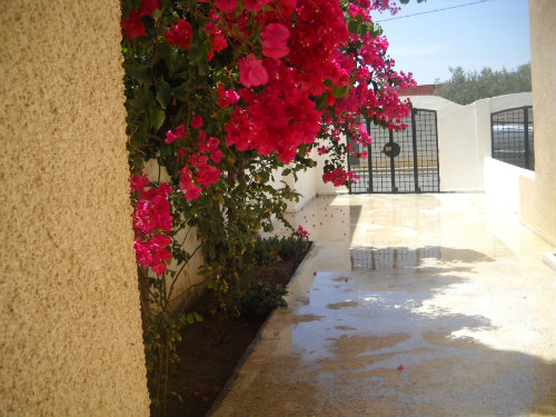 Huis Sousse - 2 personen - Vakantiewoning