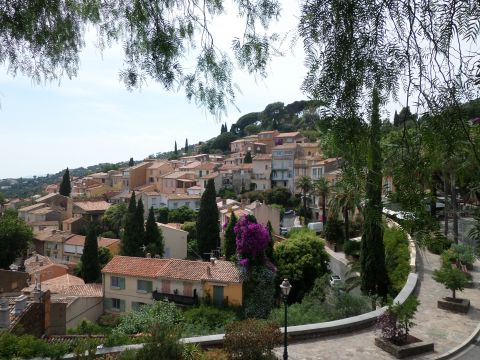 Appartement in Bormes les mimosas - Anzeige N  51723 Foto N6