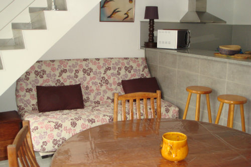 Appartement  Ajaccio pour  4 •   animaux accepts (chien, chat...) 