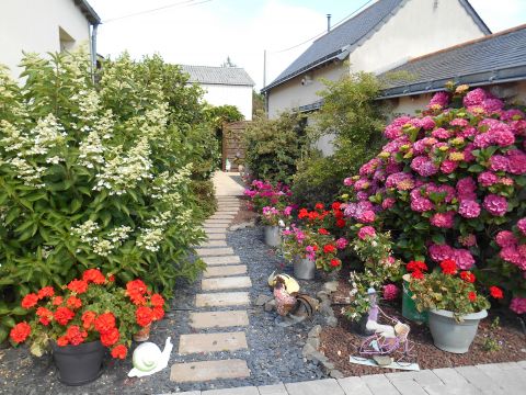 Casa en Beaufort en Anjou - Detalles sobre el alquiler n52200 Foto n5