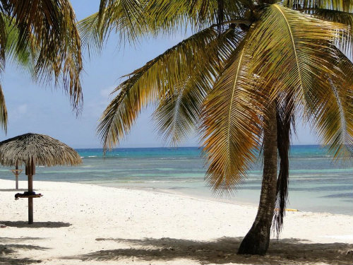 Studio Guadeloupe vue mer
