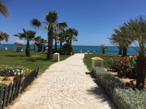 Huoneisto (miss) Hammamet - Ilmoituksen yksityiskohdat:52461 Kuva nro3