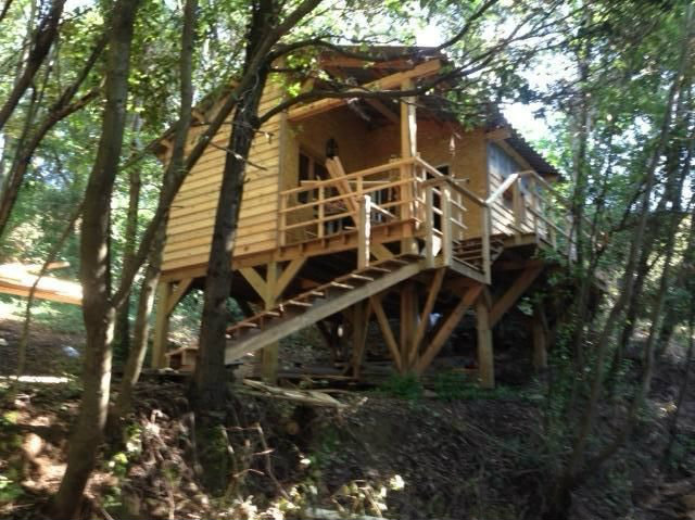 Cabane dans les arbres