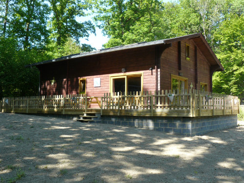 Chalet in Cerfontaine voor  15 •   huisdieren toegestaan (hond, kat... ) 