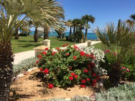 La mer  vos pieds  - Trs grand jardin Accs direct  la plage 