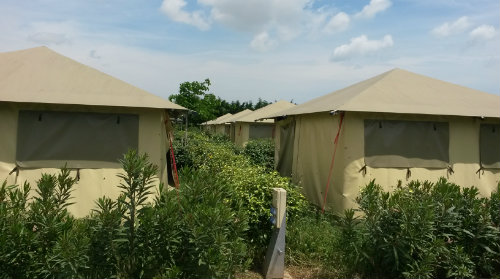 Bungalow  Vendres plage pour  4 •   avec piscine partage 