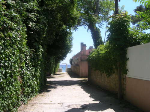 La seyne sur mer -    1 slaapkamer 