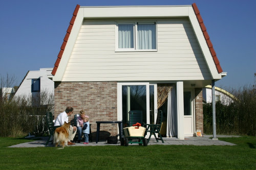 Dishoek(vlisssingen) -    huisdieren toegestaan (hond, kat... ) 