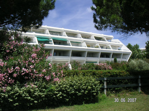 Appartement à La Grande Motte - Location vacances, location saisonnière n°53638 Photo n°4 thumbnail