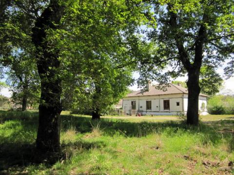 Gite Castets - 6 personnes - location vacances