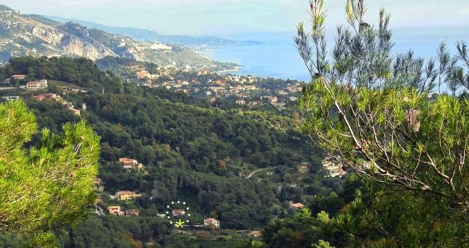 House in Menton - Vacation, holiday rental ad # 53820 Picture #5