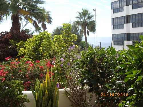 Appartement à Costa Del Silencio - Location vacances, location saisonnière n°53859 Photo n°17 thumbnail