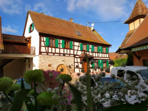 Gite  Kogenheim pour  7 •   avec terrasse 