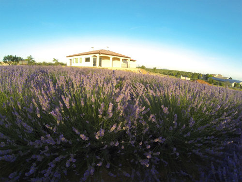 Huis in Valensole voor  6 •   met terras 