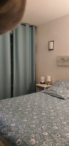 Apartamento en Argeles Village - Detalles sobre el alquiler n�54498 Foto n�4