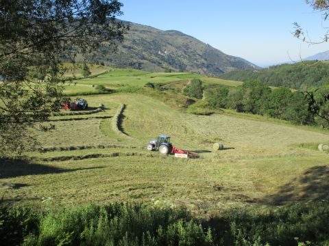 Chalet in St pierre dels forcats - Anzeige N  54559 Foto N15