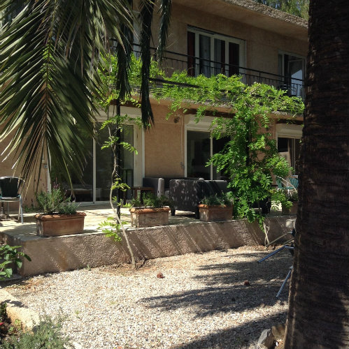 House in Cavalaire - Vacation, holiday rental ad # 55031 Picture #2