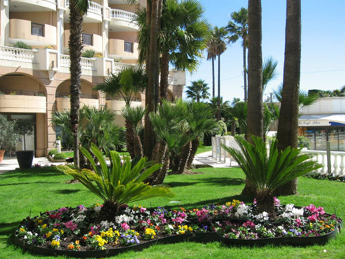 Appartement à Cannes la bocca - Location vacances, location saisonnière n°55218 Photo n°12 thumbnail