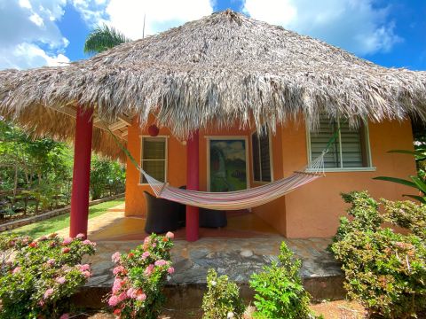 House in Las Galeras - Vacation, holiday rental ad # 55230 Picture #9