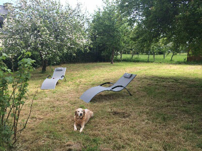 Haus in Clohars-carnoet fr  8 •   Haustiere erlaubt (Hund, Katze... ) 