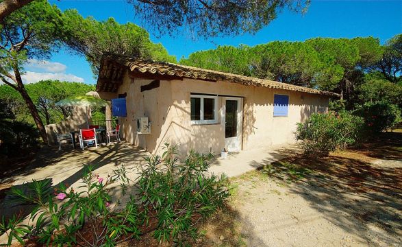 Gite in Roquebrune sur Argens - Vacation, holiday rental ad # 55320 Picture #1