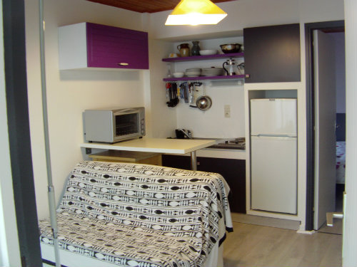 Flat in Collioure - Vacation, holiday rental ad # 55339 Picture #1