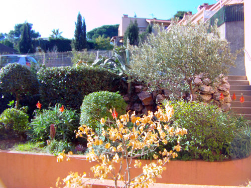 Appartement in Collioure voor  4 •   met terras 