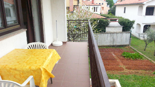 Poreč -    Haustiere erlaubt (Hund, Katze... ) 