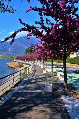 Maison  Italia - Monteisola  - Location vacances, location saisonnire n55469 Photo n3