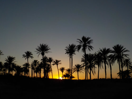 Appartement in Torrevieja voor  6 •   huisdieren toegestaan (hond, kat... ) 