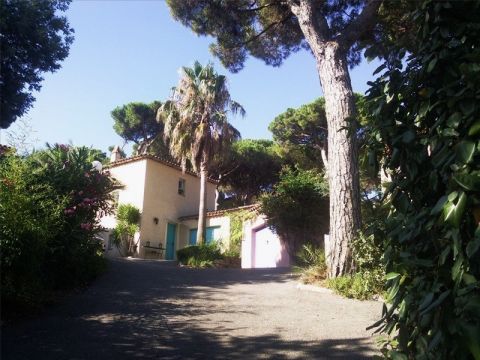 House in Ste maxime - Vacation, holiday rental ad # 55706 Picture #6