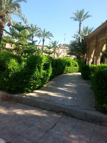 Maison à Marrakech - Location vacances, location saisonnière n°55791 Photo n°14 thumbnail