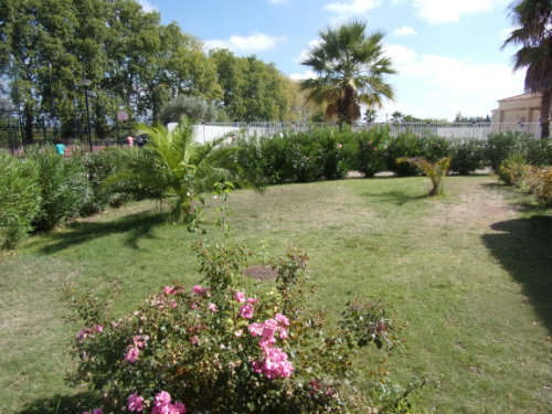 House in Beziers - Vacation, holiday rental ad # 55809 Picture #14 thumbnail