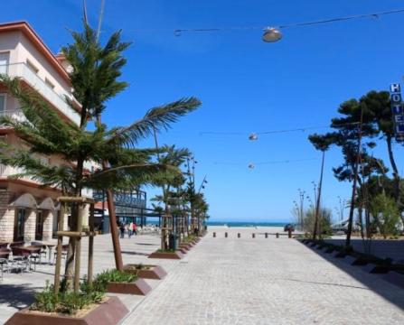 House in Argeles sur mer - Vacation, holiday rental ad # 55961 Picture #0