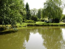Gite in Dimont f�r  4 &bull;   &bull;  mit Terrasse 