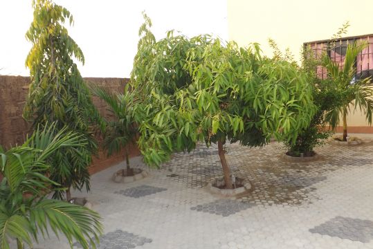 Flat in Ouagadougou - Vacation, holiday rental ad # 56188 Picture #13