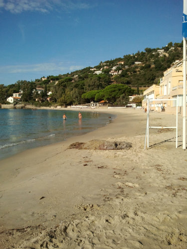 Studio  Le lavandou pour  4 •   vue sur mer 