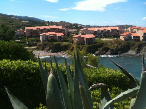 Port-vendres -    view on sea 