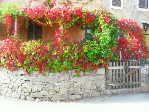 Maison  Arro pour  2 •   avec terrasse 